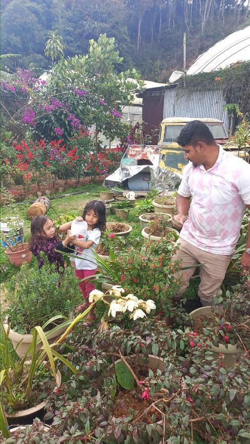 Hillview Inn Cameron Highlands Dış mekan fotoğraf