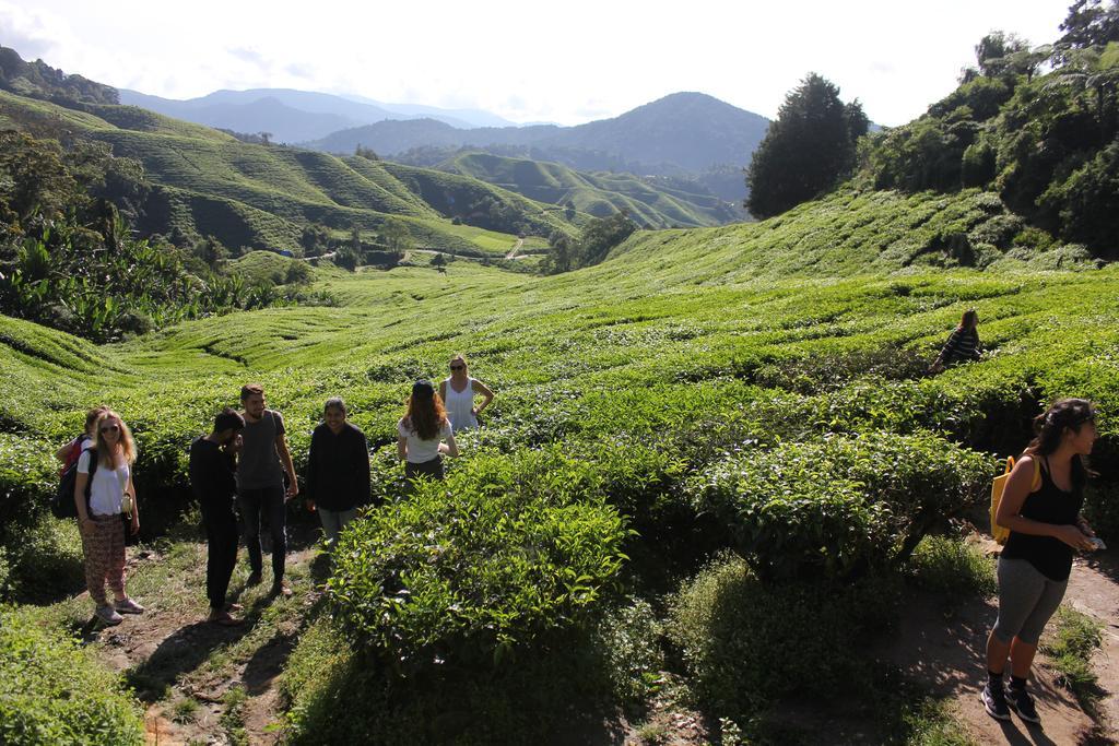 Hillview Inn Cameron Highlands Dış mekan fotoğraf