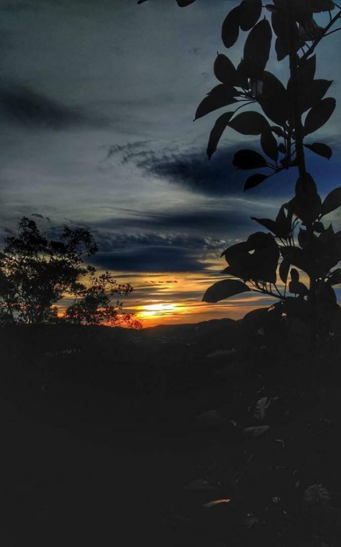 Hillview Inn Cameron Highlands Dış mekan fotoğraf